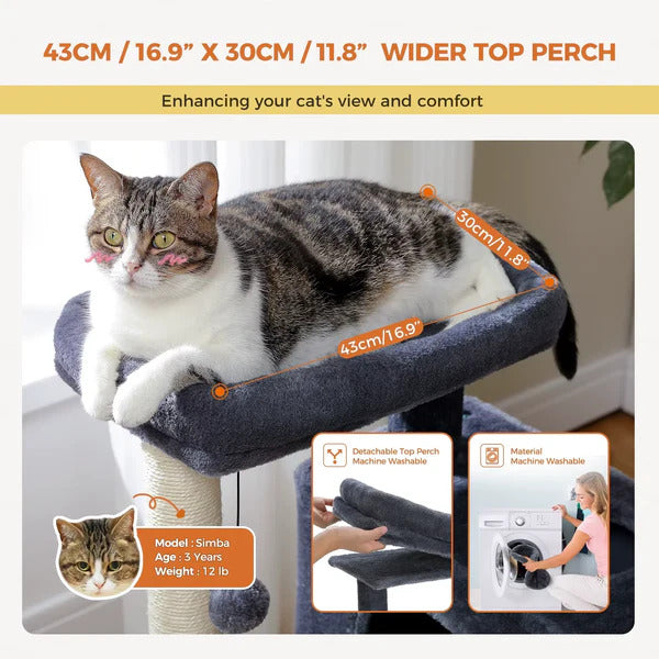 The Ultimate Cat Mansion with Sisal Scratchy Things for Fluffy Royals!