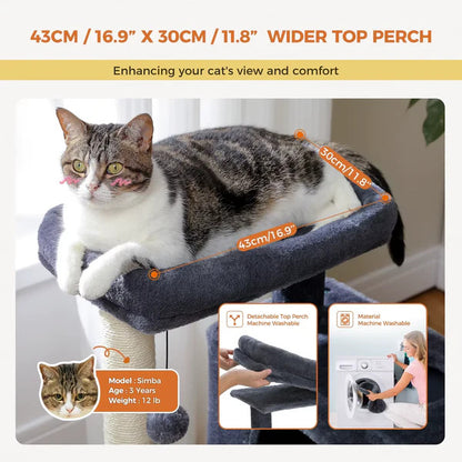 The Ultimate Cat Mansion with Sisal Scratchy Things for Fluffy Royals!